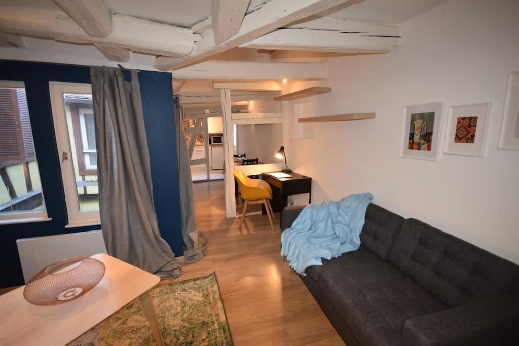 Le Studio Du Quai Des Pecheurs - Charmant Duplex Sur Les Quais Estrasburgo Exterior foto